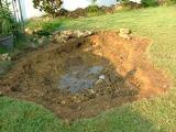 Building our lily pond